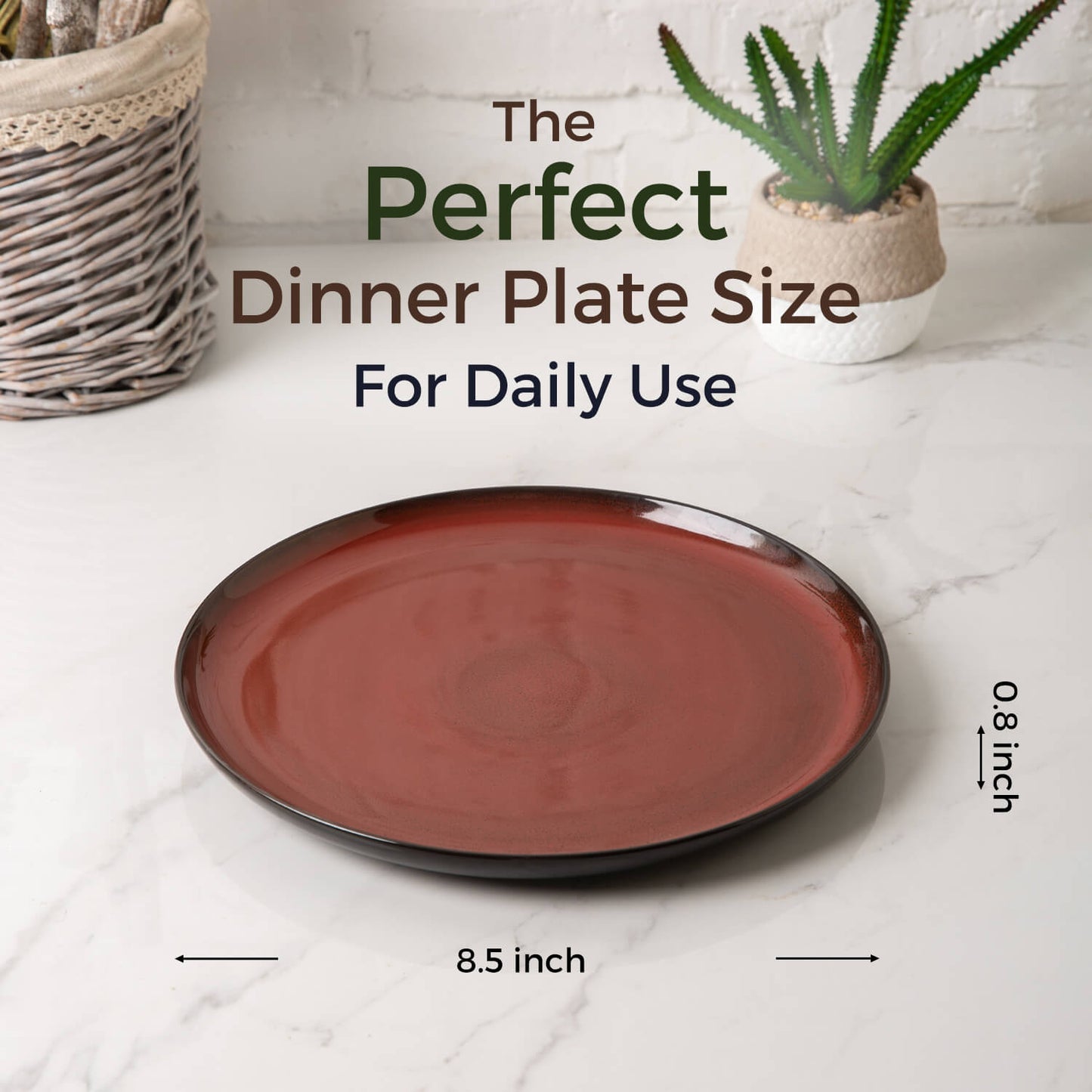 SLUSP011 Salad Plates