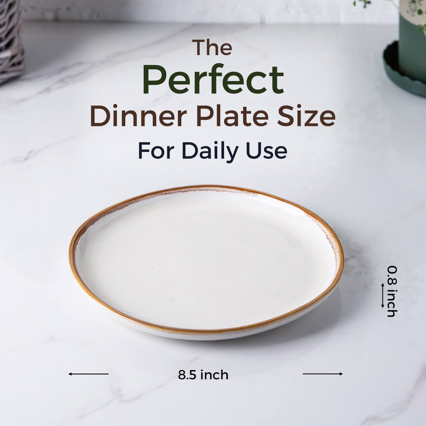 JYISP007 Salad  Plates